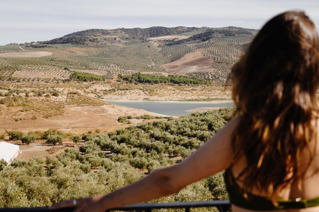 Alojamiento rural entre olivos, una experiencia de oleoturismo