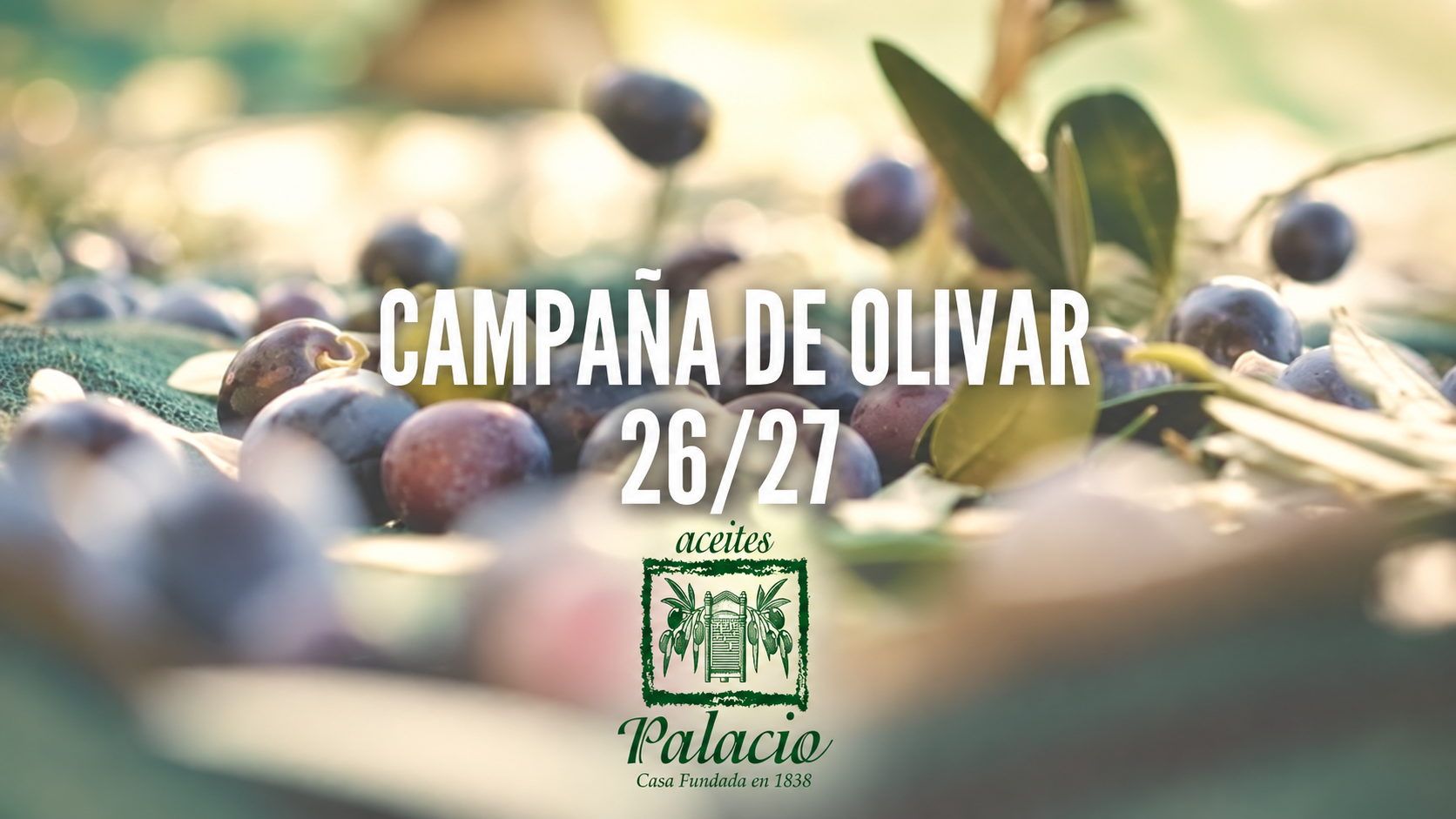 Inicio de la campaña de aceituna 2026/27 en la almazara de Aceites Palacio